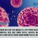 삼성더건강내과의원 이미지
