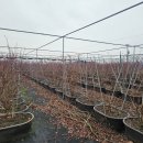 한적농장 이미지