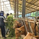 서울자유발도르프학교 이미지