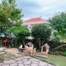 굿나잇 민박 이미지