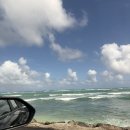 아비스몰 | 하와이 하얏트 와이키키 허츠 렌트카 무인반납위치, Hertz 보증금, 이용후기