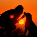 도담도담동물병원 이미지