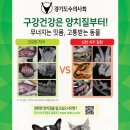 하남숲동물병원 이미지