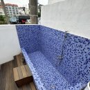 이호랑37 이미지