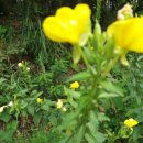 덕은농장 이미지