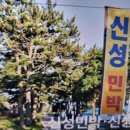 신성펜션 | 영종도펜션 신성펜션 후기 추천 이유