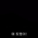 코토우라 이미지