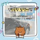 비나코리아 | 인천공항 발렛파킹 이용방법｜제이드카드 무료 발렛 + 다자녀 9일 주차비 36,000원 후기