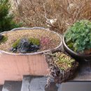 다미농원 이미지