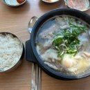 진국돼지국밥