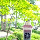 빽다방진주 이미지