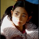 판암초등학교/판암유치원 이미지