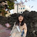 대륜세탁소 이미지