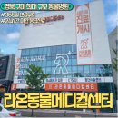 라온 동물 메디컬센터 | 경북 구미 최대 동물병원 송정동 라온동물메디컬센터 강아지건강검진후기 365일야간진료