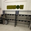 MEGA 뽑기 | 공항에서 삿포로역 가는 법, 퀸테사 호텔 솔직 후기, 동구리 빵집, 로바타야키 이자카야, 인형 뽑기, 가챠