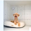 폴앤도기 동남캠퍼스 이미지