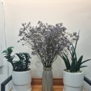 구립김영삼도서관 | 동작구 구립 김영삼도서관 김영삼전시실&amp;2층 카페 방문후기