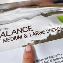 (주)선진펫 이미지