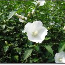 덕안주유소 이미지