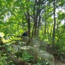 한 수산 이미지