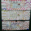 서호초등학교 이미지