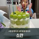 아이필학원 | 창원케이크 소안 샤인머스켓 케이크 후기