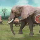 이엠한의원 이미지