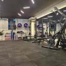 고트스트레칭&피티