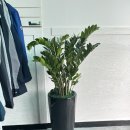 에이스종합상사 이미지