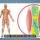 엔비스킨 분당정자점 이미지