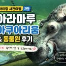아라 | 아이랑 사천여행 두번째 후기 🐠아라마루 아쿠아리움 &amp; 동물원 방문기