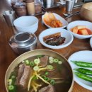 동강 | 고흥 동강갈비탕 후기 | 아이들과 함께 먹기 좋은 아침 갈비탕 맛집