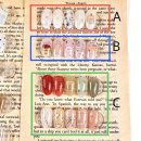 베어네일(Bear nail) 이미지