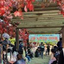 낙산초등학교 중부신문