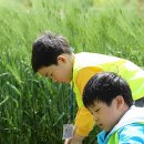 꽃초롱자연학습장 이미지