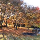 고인돌 공원 이미지