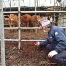 장안축산 이미지