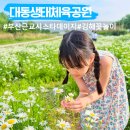 덕풍동 체육공원 입구 | 부산근교 김해 샤스타 데이지 대동생태체육공원 아이랑 다녀왔어요.
