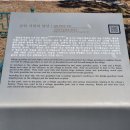 서천리 당산 이미지