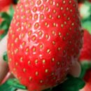 희수농장 이미지