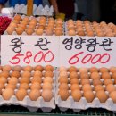 구월4동-28 이미지