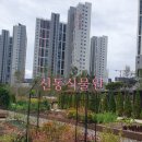 동탄역반도타운공인중개사사무소 | 동탄2신동 산책 동탄2신주거문화타운 신동호수