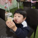 수혁농장 네이버블로그