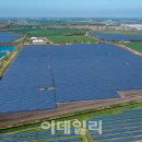 넥스트태양광발전소 이미지