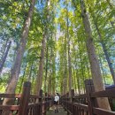 장수송어회식당 | (또간집)청남대 여행 후 식사는 대청댐 로컬 맛집 '낙원식당' 송어회 꼭 드세요!