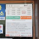 너랑나랑어린이공원 | 제주도 3월 4월 봄꽃 여행 - 제일 큰 유채꽃 명소 <휴애리자연생활공원> 내돈내산 후기