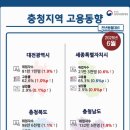 상용 이미지