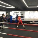 거북복싱체육관 이미지