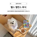 (주)그린휴먼케어 | [강아지 화식] 멸균 포장 실온보관의 첨가물 ZERO 기능성 테린화식, 펠스 모션밸런스(PEALTH)