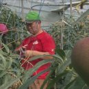 생태와 기후변화이야기 이미지